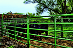 Powder River - Rancher Panel - 16' x 70"