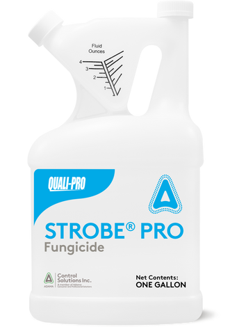 Quali-Pro - Strobe Pro SC- 1 gal