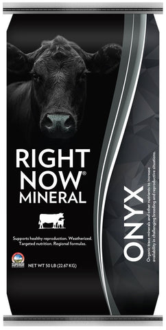 Nutrena - Right Now Mineral - Onyx - 50 lb