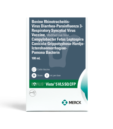 Merck - Bovilis - Vista 5 VL5 Sq CFP - 50 dose