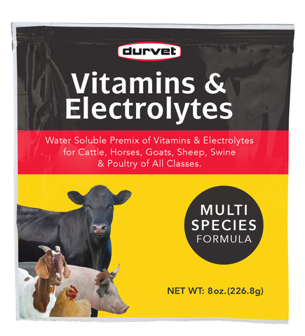 Durvet - Vitamins & Electrolytes - 8 oz - Steve Regan Company