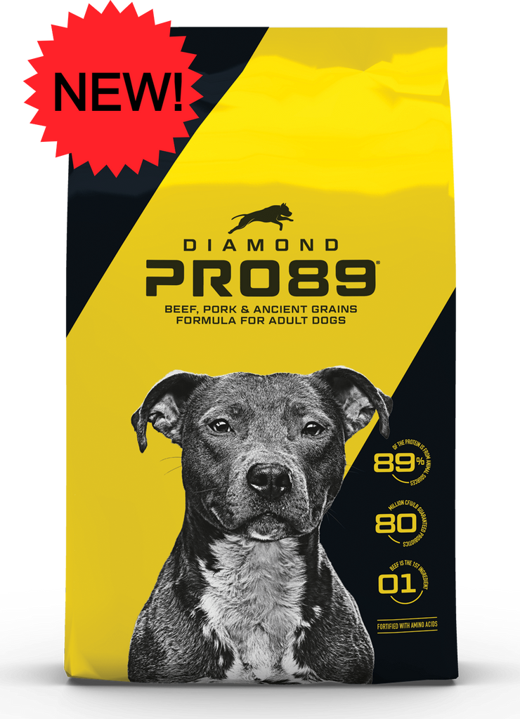 Diamond high protein dog food clearance