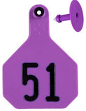 Y-Tex - Tag & Button 4 Star (51-75) Purple