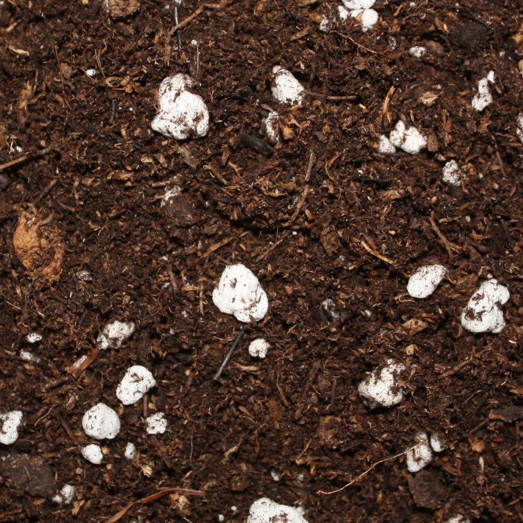 lambert professional organic potting mix Lambert - LM-ORG/LM-111 Organic All Purpose Mix