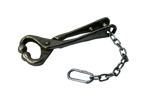 Bull Lead - With Chain