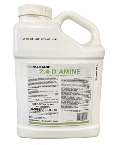 2,4-D Amine - 1 gal